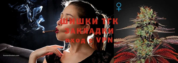 ГАЛЛЮЦИНОГЕННЫЕ ГРИБЫ Зеленодольск
