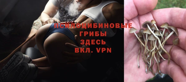 твердый Зерноград
