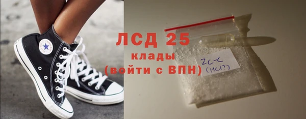 ГАЛЛЮЦИНОГЕННЫЕ ГРИБЫ Инсар