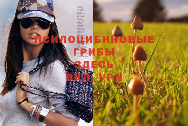 ГАЛЛЮЦИНОГЕННЫЕ ГРИБЫ Зеленодольск