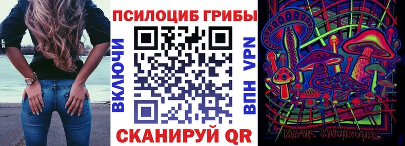 Купить  Соликамск  Галлюциногенные грибы Psilocybe 